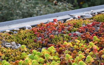 the cost of Denny Bottom green roof installation