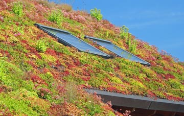 Denny Bottom living roof systems