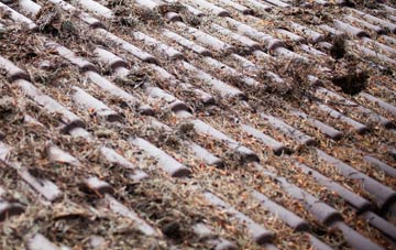 Denny Bottom roof cleaning companies